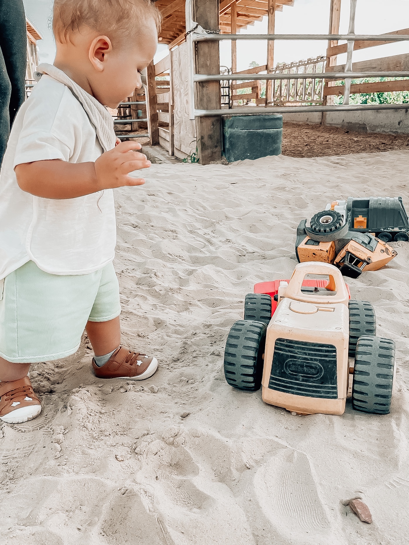 Virginia Beach Petting Zoo