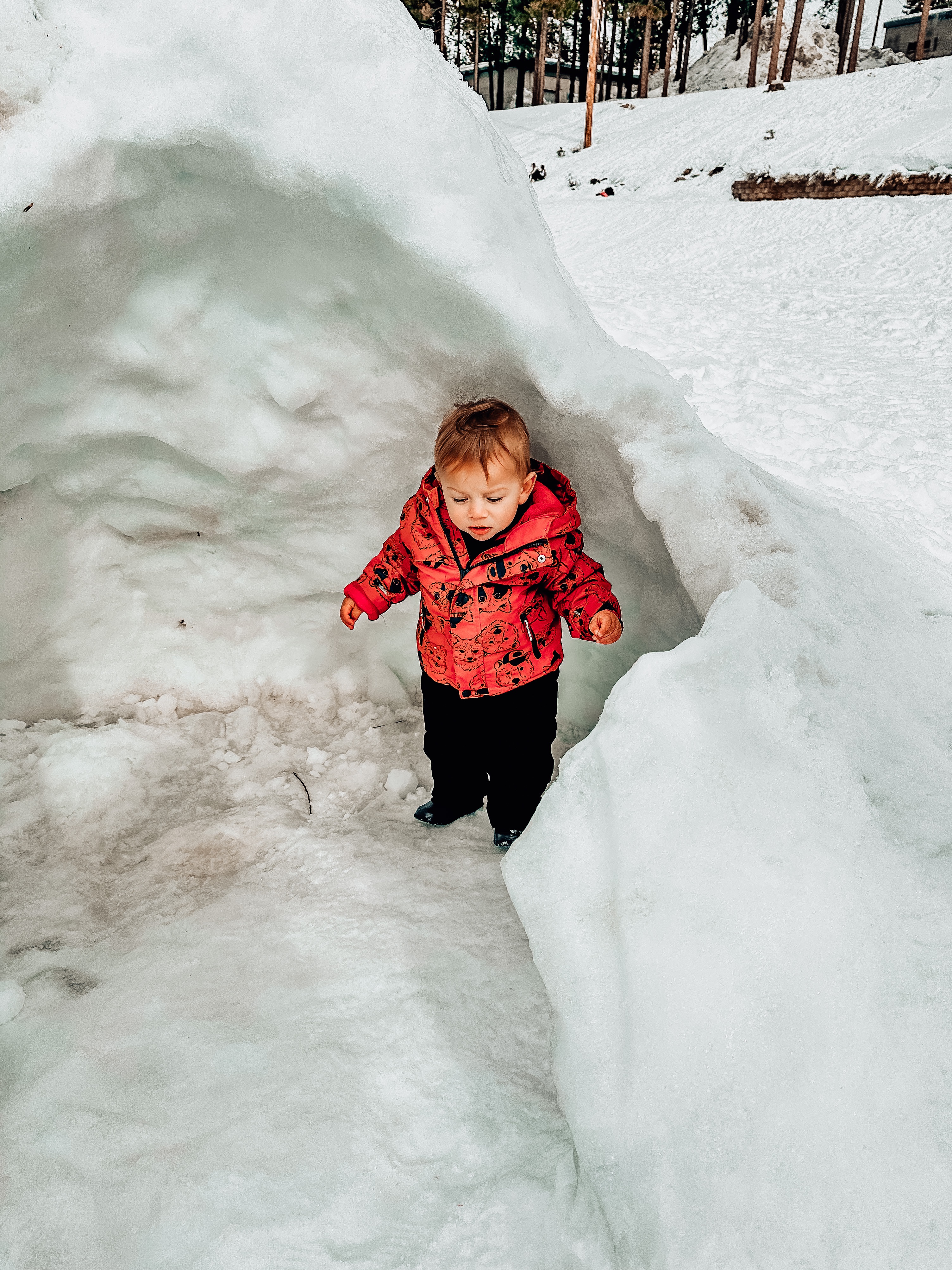 Lake Tahoe Toddler Travels